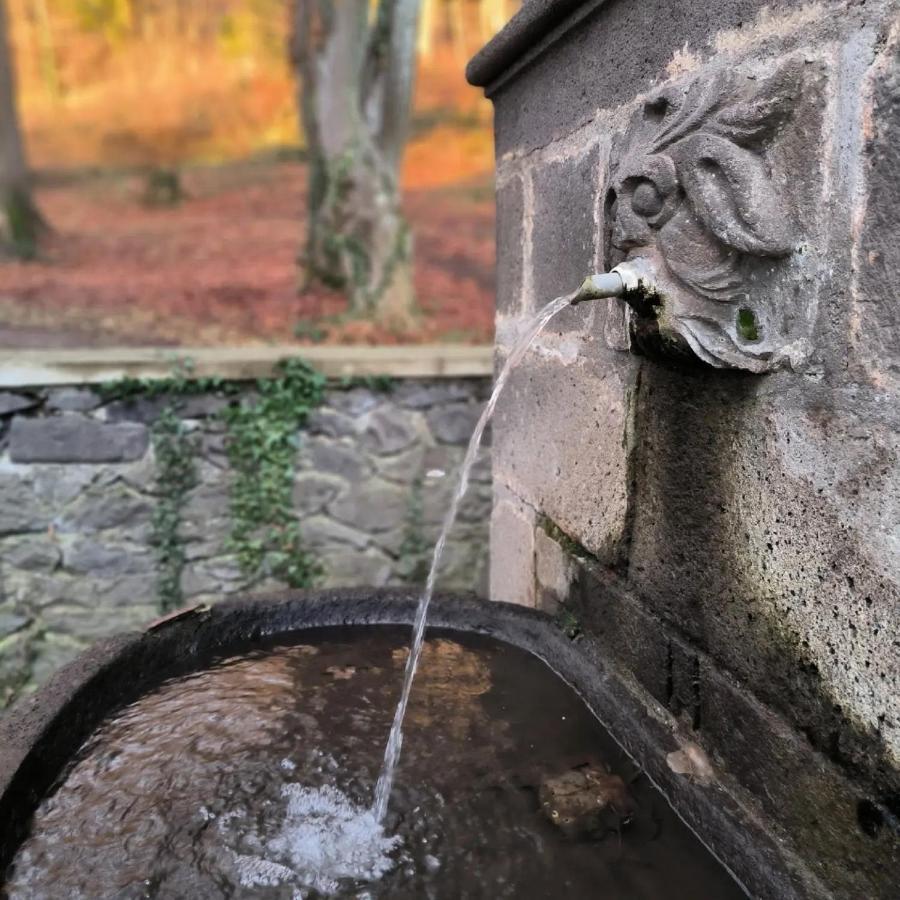 Gites Le Vieux Vinzelles Volvic Eksteriør bilde