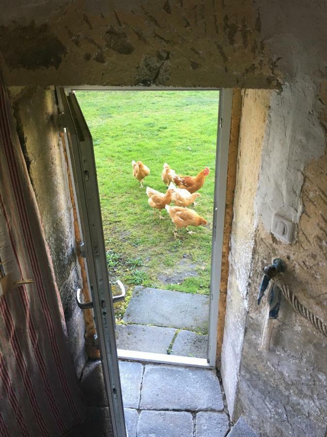 Gites Le Vieux Vinzelles Volvic Eksteriør bilde